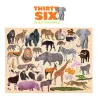 Puzzle 36 animaux - 100 pièces - Animaux de la savane - 5a+