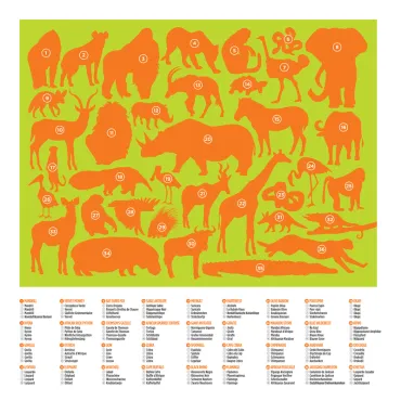 Puzzle 36 animaux - 100 pièces - Animaux de la savane - 5a+