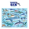 Puzzle 36 animaux - 100 pièces - Requins - 5a+