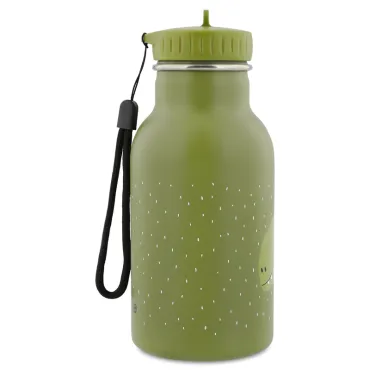 Gourde isotherme 350 ml - Mr. Dino