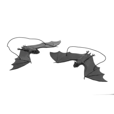 Set 2 Chauve-souris