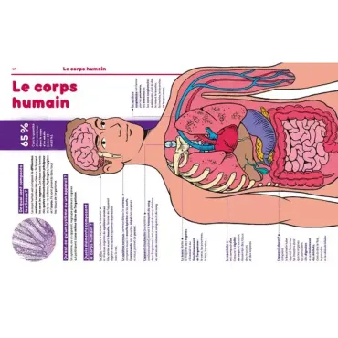 1001 Pourquoi comment - Science & Vie Junior