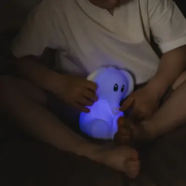 Kidywolf Kidynight Night Light - Koala