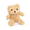 Ours en Peluche Marron - 21 cm