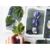 DIY HOME DECO - Mon atelier Cyanotype