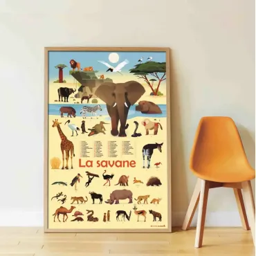 Poster pédagogique - La savane