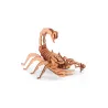 Maquette bois 3D - Scorpion - 35 pces