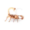 Maquette bois 3D - Scorpion - 35 pces