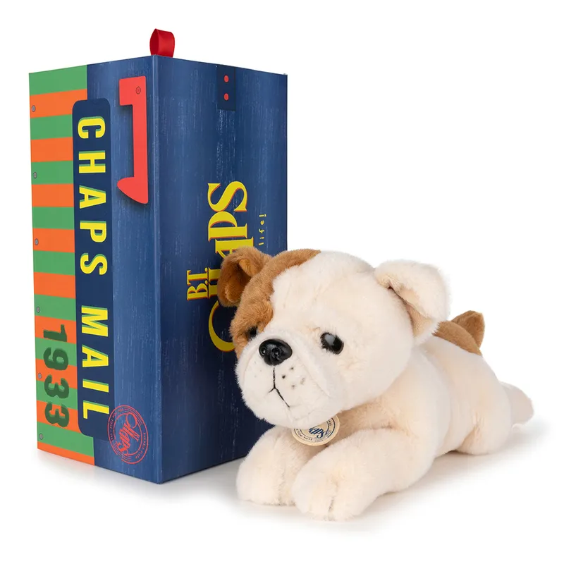 Bertha le Bulldog Américain en boîte cadeau - 20 cm