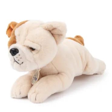 Bertha le Bulldog Américain en boîte cadeau - 20 cm