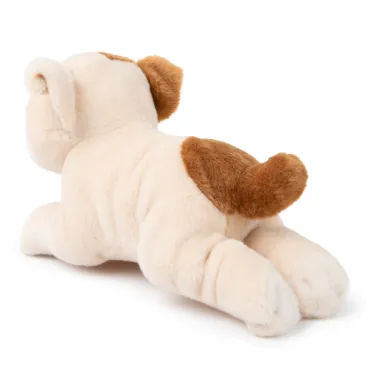 Bertha le Bulldog Américain en boîte cadeau - 20 cm