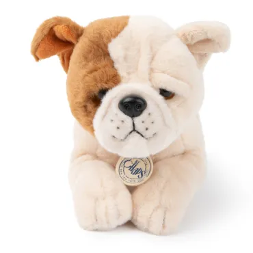 Bertha le Bulldog Américain en boîte cadeau - 20 cm