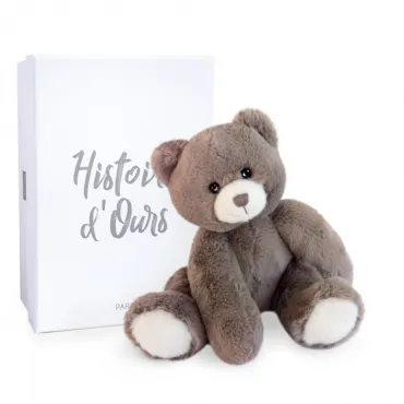 Ours en Peluche Marron...