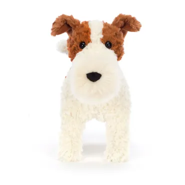 Hector Fox Terrier