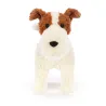 Hector Fox Terrier